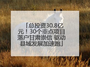 总投资30.8亿元！30个重点项目落户甘肃崇信 驱动县域发展加速跑