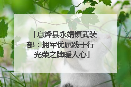 息烽县永靖镇武装部：拥军优属践于行 光荣之牌暖人心