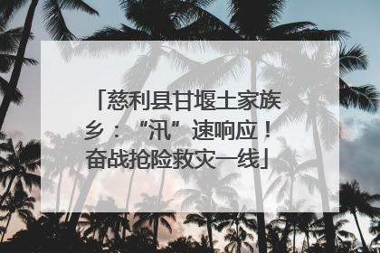 慈利县甘堰土家族乡：“汛”速响应！奋战抢险救灾一线