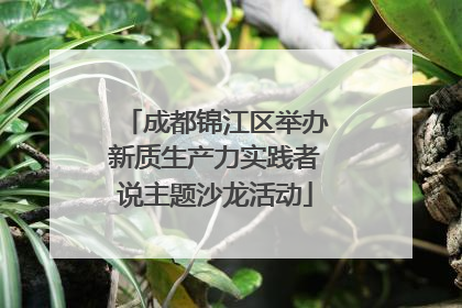 成都锦江区举办新质生产力实践者说主题沙龙活动