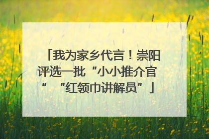 我为家乡代言！崇阳评选一批“小小推介官”“红领巾讲解员”
