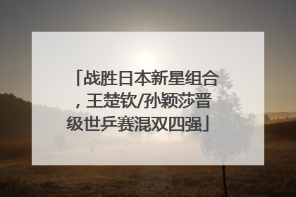战胜日本新星组合，王楚钦/孙颖莎晋级世乒赛混双四强