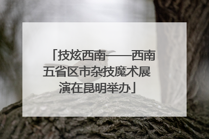 技炫西南——西南五省区市杂技魔术展演在昆明举办
