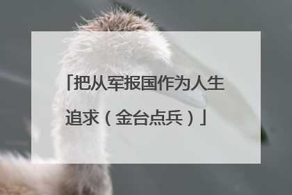 把从军报国作为人生追求（金台点兵）