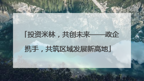 投资米林，共创未来——政企携手，共筑区域发展新高地