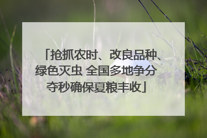 抢抓农时、改良品种、绿色灭虫 全国多地争分夺秒确保夏粮丰收