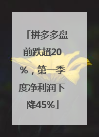拼多多盘前跌超20%，第一季度净利润下降45%