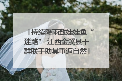 持续降雨致娃娃鱼“迷路” 江西金溪县干群联手助其重返自然
