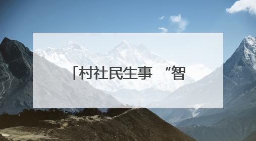 村社民生事 “智囊”出点子 嘉兴市秀洲区推行AI“民情一本账”