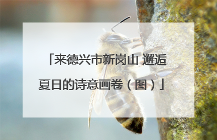 来德兴市新岗山 邂逅夏日的诗意画卷（图）