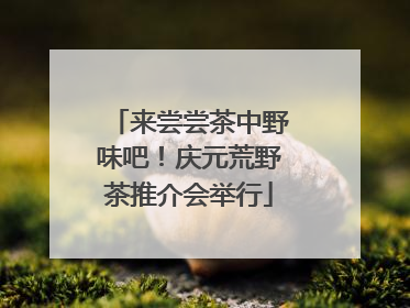 来尝尝茶中野味吧！庆元荒野茶推介会举行