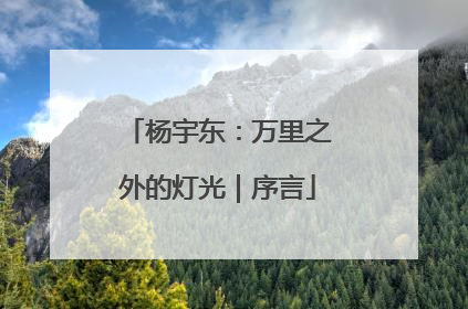 杨宇东：万里之外的灯光｜序言