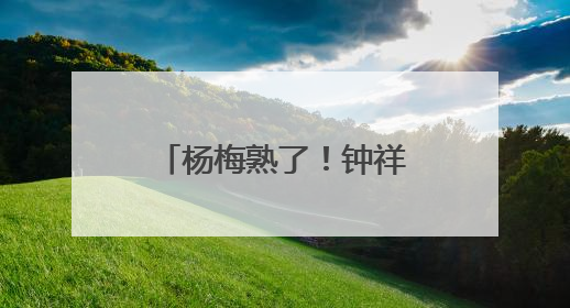 杨梅熟了！钟祥长滩镇收获“舌尖上的惊喜”