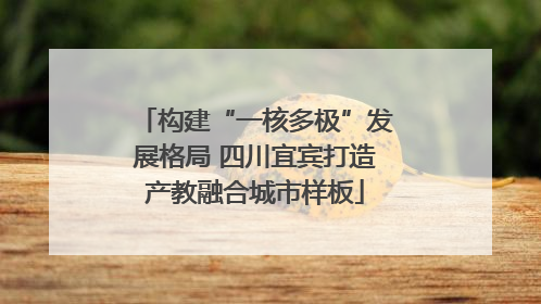 构建“一核多极”发展格局 四川宜宾打造产教融合城市样板