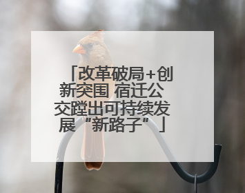 改革破局+创新突围 宿迁公交蹚出可持续发展“新路子”