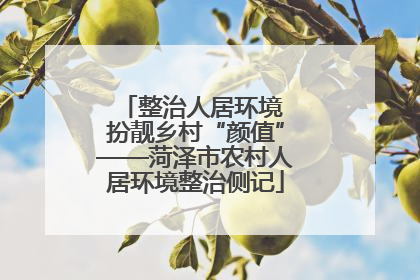 整治人居环境 扮靓乡村“颜值”——菏泽市农村人居环境整治侧记