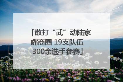 散打“武”动陆家嘴商圈 19支队伍300余选手参赛