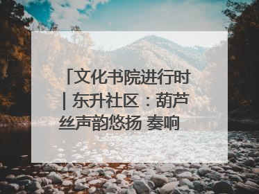 文化书院进行时｜东升社区：葫芦丝声韵悠扬 奏响文化和谐曲