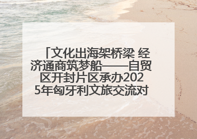 文化出海架桥梁 经济通商筑梦船——自贸区开封片区承办2025年匈牙利文旅交流对接活动专场