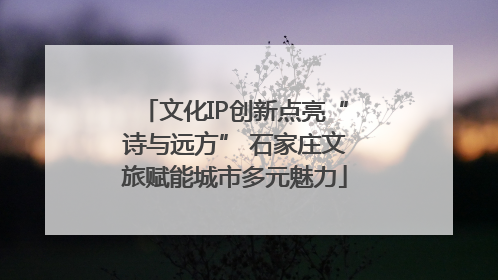 文化IP创新点亮“诗与远方” 石家庄文旅赋能城市多元魅力
