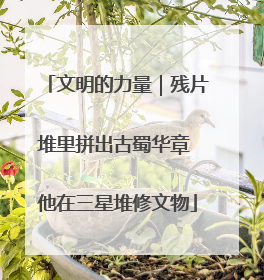 文明的力量｜残片堆里拼出古蜀华章 他在三星堆修文物