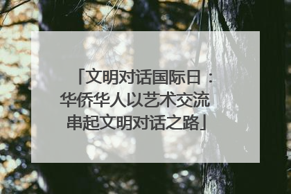 文明对话国际日：华侨华人以艺术交流串起文明对话之路
