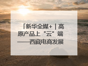 新华全媒+｜高原产品上“云”端——西藏电商发展一线观察