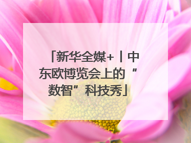 新华全媒+丨中东欧博览会上的“数智”科技秀