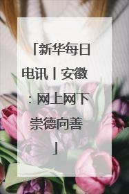 新华每日电讯丨安徽：网上网下 崇德向善