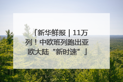 新华鲜报｜11万列！中欧班列跑出亚欧大陆“新时速”