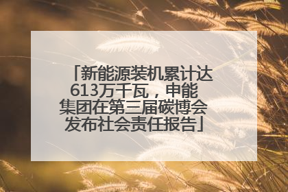 新能源装机累计达613万千瓦，申能集团在第三届碳博会发布社会责任报告