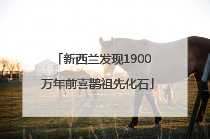 新西兰发现1900万年前喜鹊祖先化石