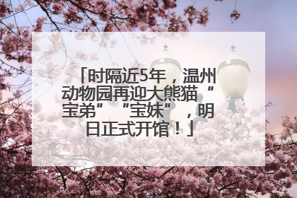时隔近5年，温州动物园再迎大熊猫“宝弟”“宝妹”，明日正式开馆！