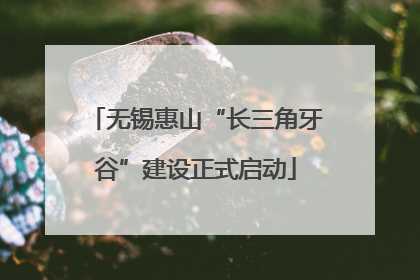 无锡惠山“长三角牙谷”建设正式启动