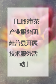 日照市茶产业服务团赴莒县开展技术服务活动