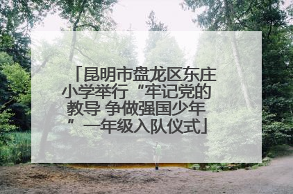 昆明市盘龙区东庄小学举行“牢记党的教导 争做强国少年”一年级入队仪式