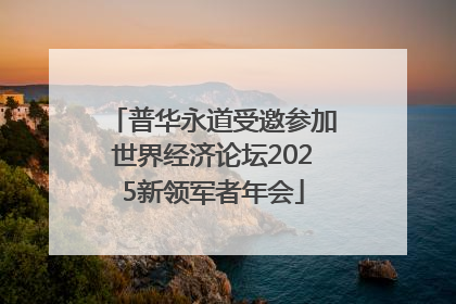 普华永道受邀参加世界经济论坛2025新领军者年会