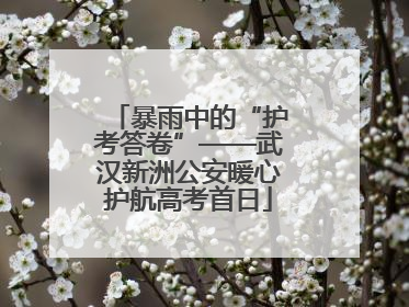 暴雨中的“护考答卷”——武汉新洲公安暖心护航高考首日