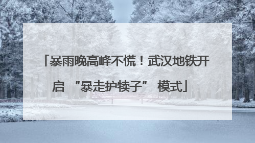 暴雨晚高峰不慌！武汉地铁开启 “暴走护犊子” 模式