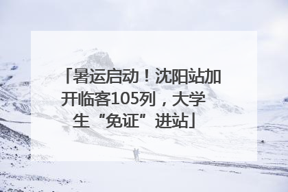 暑运启动！沈阳站加开临客105列，大学生“免证”进站
