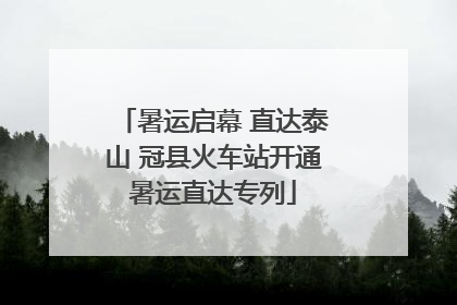 暑运启幕 直达泰山 冠县火车站开通暑运直达专列