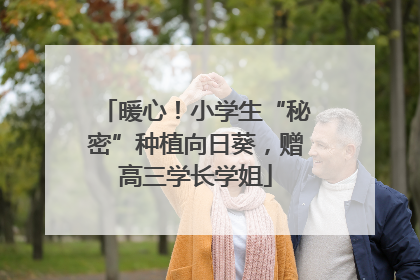 暖心！小学生“秘密”种植向日葵，赠高三学长学姐