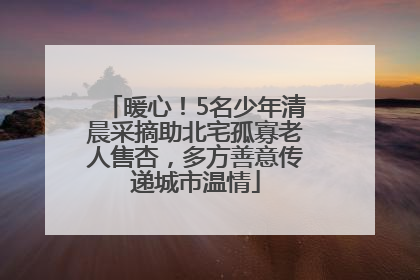 暖心！5名少年清晨采摘助北宅孤寡老人售杏，多方善意传递城市温情