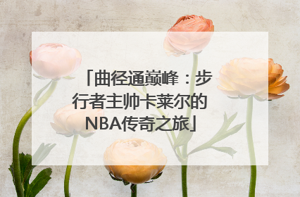 曲径通巅峰：步行者主帅卡莱尔的NBA传奇之旅