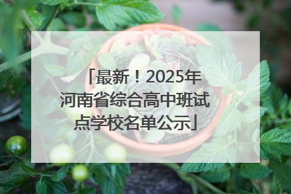 最新！2025年河南省综合高中班试点学校名单公示