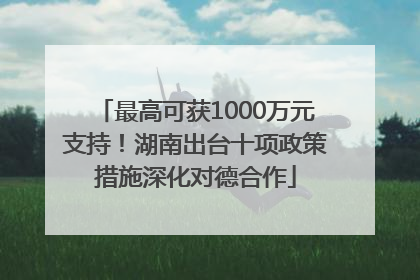 最高可获1000万元支持！湖南出台十项政策措施深化对德合作