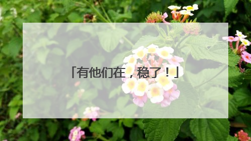 有他们在，稳了！
