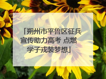 朔州市平鲁区征兵宣传助力高考 点燃学子戎装梦想
