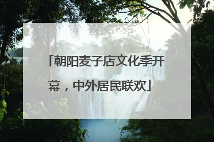 朝阳麦子店文化季开幕，中外居民联欢