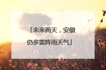 未来两天，安徽仍多雷阵雨天气